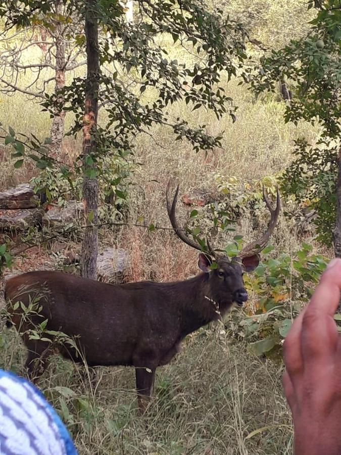 Sadhna Sadan Homestay Panna Madla Exteriör bild